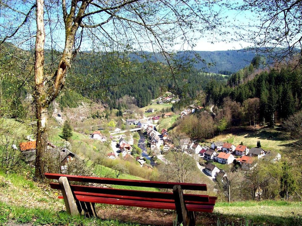 Landhaus Schwaben Schonmunzach Luaran gambar